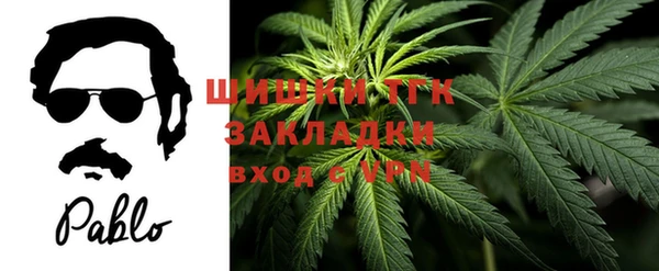 мяу мяу мука Абаза