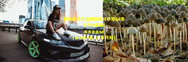 ешки Алексеевка