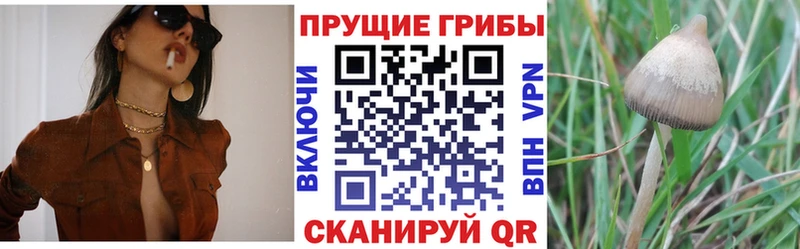 Псилоцибиновые грибы MAGIC MUSHROOMS  Луза 