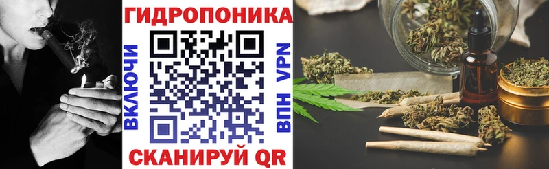 Бошки марихуана планчик  Луза 